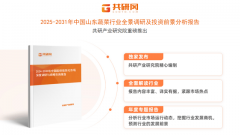 2025年中国蔬菜的领头羊“山东”沉点数据