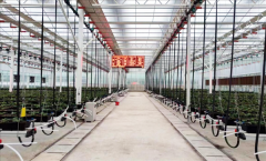 自从龙芯CPU变化保守农业!全国产的聪慧